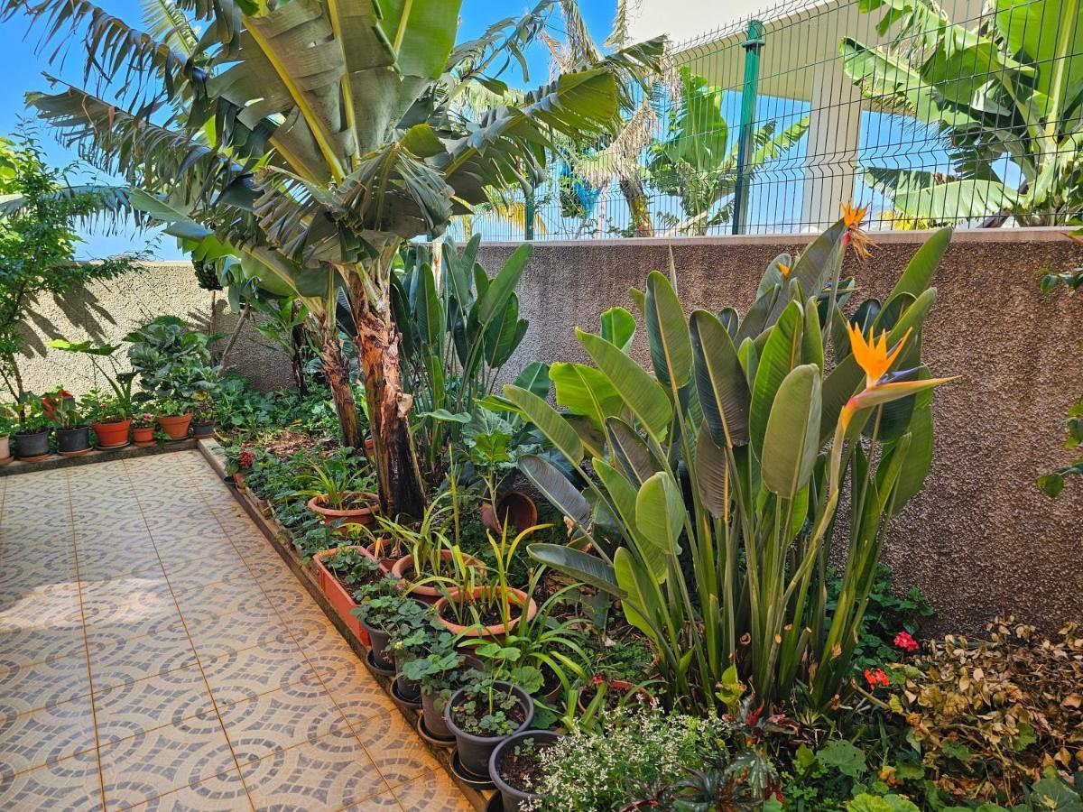 Casa De Feria Do Livramento Vila Funchal  Exterior foto